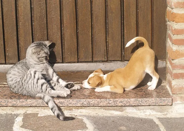 Panzió Antico Casolare